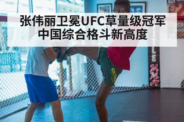 MMA training